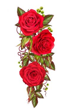 Çiçek kompozisyon. Güzel bir kırmızı gül ve yeşil yaprakları tomurcuğu. Beyaz arka plan üzerinde izole.