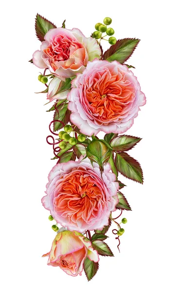 Composição da flor. Grinalda, guirlanda de belas rosas rosa delicadas e folhas verdes. Isolado sobre fundo branco . — Fotografia de Stock