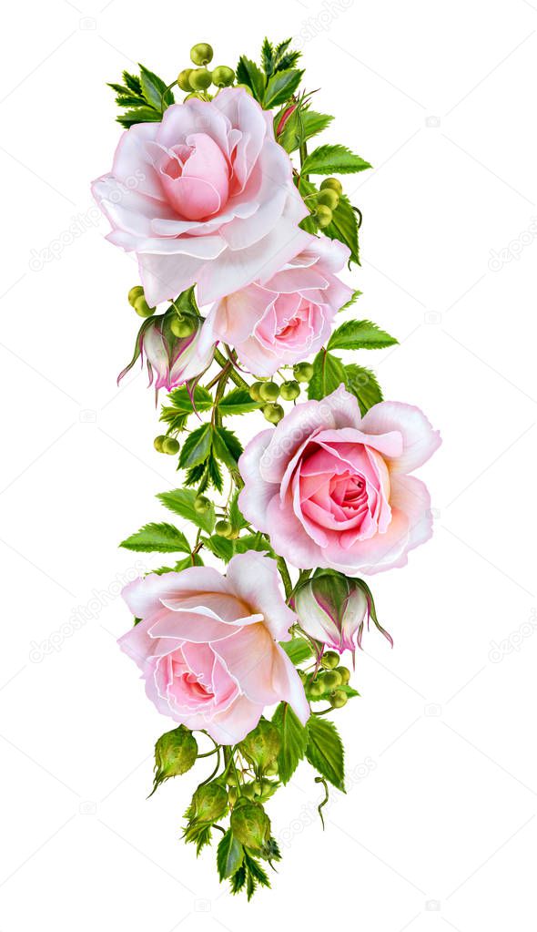 Flower composition. Wreath, garland of delicate beautiful pink roses and green leaves. Isolated on white background.