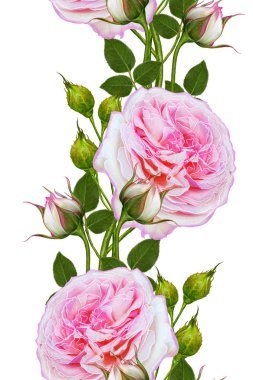 Dikey çiçek sınır. Desen, sorunsuz. Eski stil. Çiçek gar