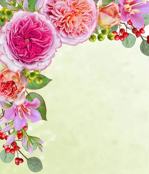 Sfondo floreale. Ghirlanda di fiori, rose rosa teneri, bacche e foglie. Biglietto d'auguri, invito, biglietto da visita . — Foto Stock