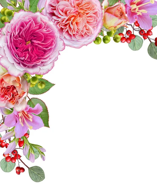 Tle kwiatów. Girlanda z kwiatów, przetargu różowy róż, jagody i liście. Kartki, zaproszenia, wizytówki. — Zdjęcie stockowe