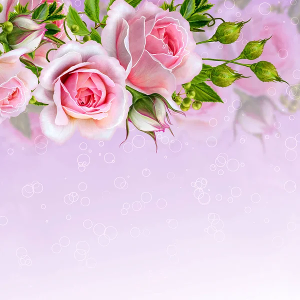 Fondo floral. Guirnalda de flores, rosas rosadas, bayas y hojas. Tarjeta de felicitación, invitación, tarjeta de visita . — Foto de Stock