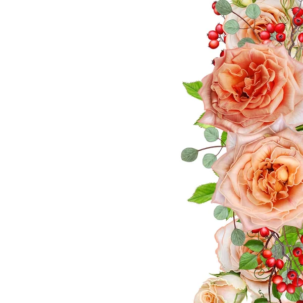 Fundo floral. Guirlanda de flores, rosas rosa concurso, bagas e folhas. Cartão, convite, cartão de visita. Figuras na forma de coração . — Fotografia de Stock