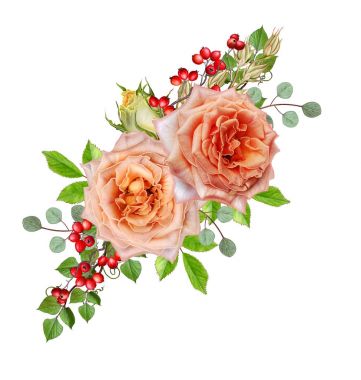 Çiçek kompozisyon. Bir bud ihale pastel turuncu gül ' yeşil yaprakları. Beyaz arka plan üzerinde izole.