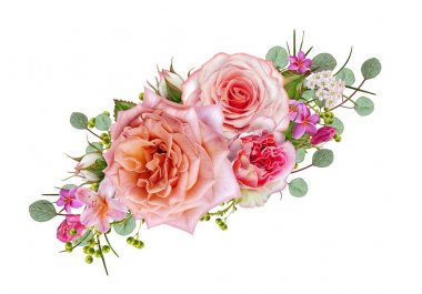 Çiçek kompozisyon. Bir bud ihale pastel turuncu gül ' yeşil yaprakları. Beyaz arka plan üzerinde izole.