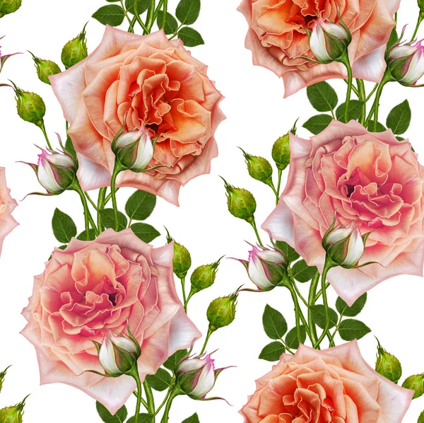 Цветочный бесшовный рисунок. Цветочная композиция, букет нежных красивых розовых роз, зеленые ягоды, листья . — стоковое фото