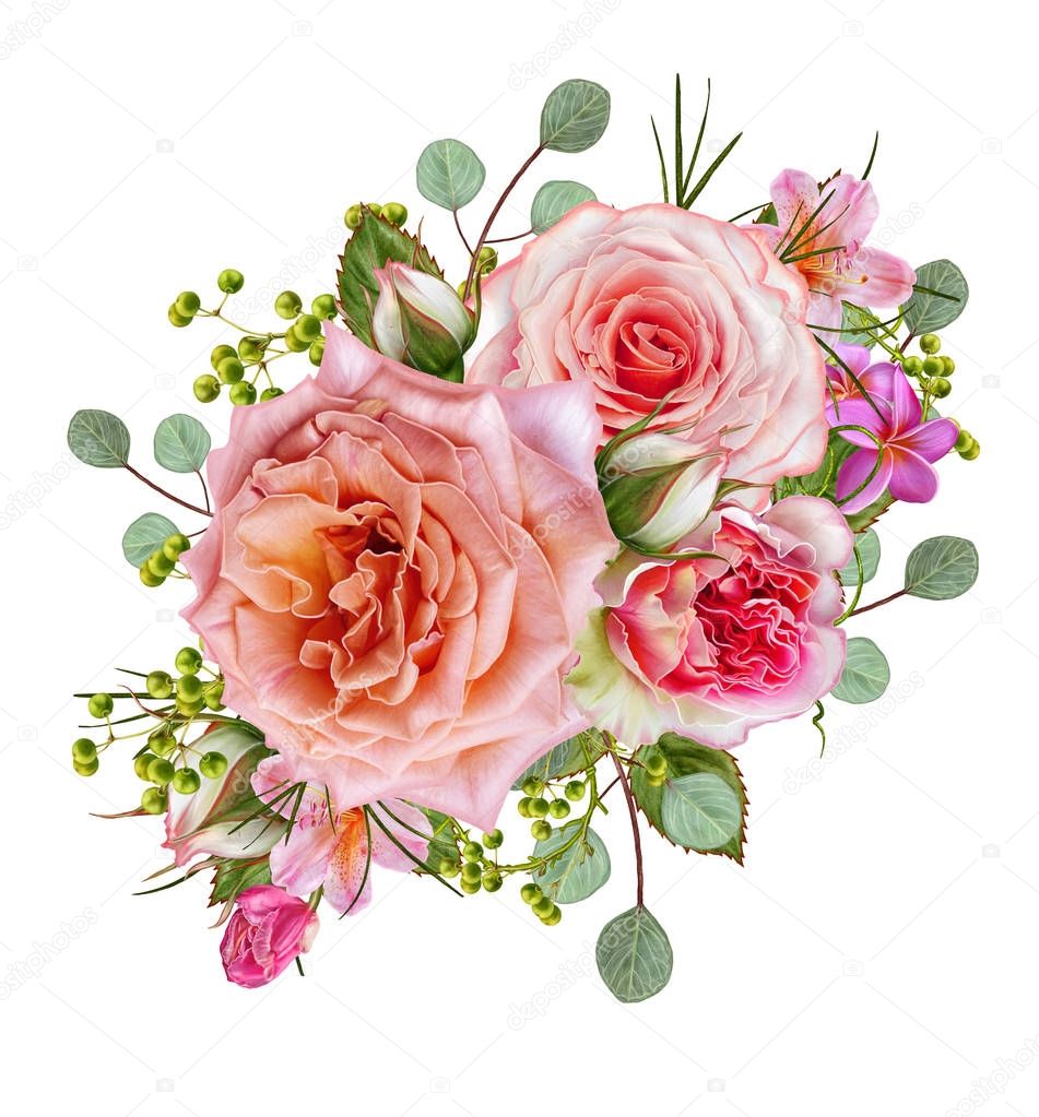 Flower composition. A bud of tender pastel orange roses, green leaves. Isolated on white background.