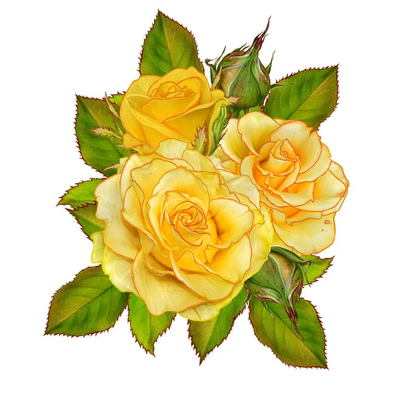 Çiçek arka plan, kompozisyon. Garland çiçekler, Sarı gül. Tebrik kartı, davetiye, kartvizit.