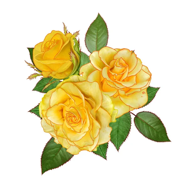 Fond Floral Composition Guirlande Fleurs Roses Jaunes Carte Vœux Invitation — Photo