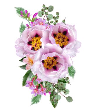 Çiçek arka plan. Buket, kompozisyon çiçekler, ihale pastel pembe Gül, çilek, dalları, yaprakları. Tebrik kartı, davetiye, kartvizit. Beyaz arka plan üzerinde izole.