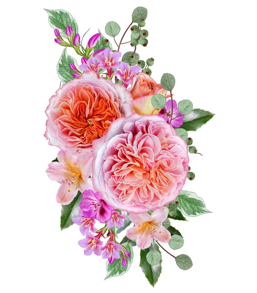 Ramo, composición de flores, rosas rosadas pasteles tiernas, bayas, ramas, hojas. Tarjeta de felicitación, invitación, tarjeta de visita. Aislado sobre fondo blanco . —  Fotos de Stock