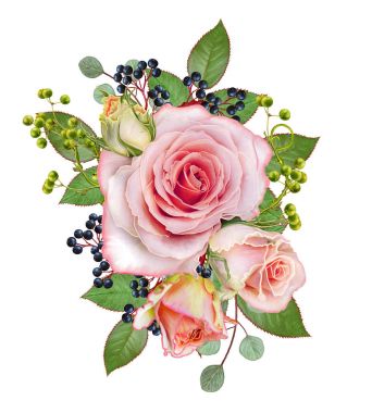 Çiçek arka plan. Buket, kompozisyon çiçekler, ihale pastel pembe Gül, çilek, dalları, yaprakları. Tebrik kartı, davetiye, kartvizit. Beyaz arka plan üzerinde izole.