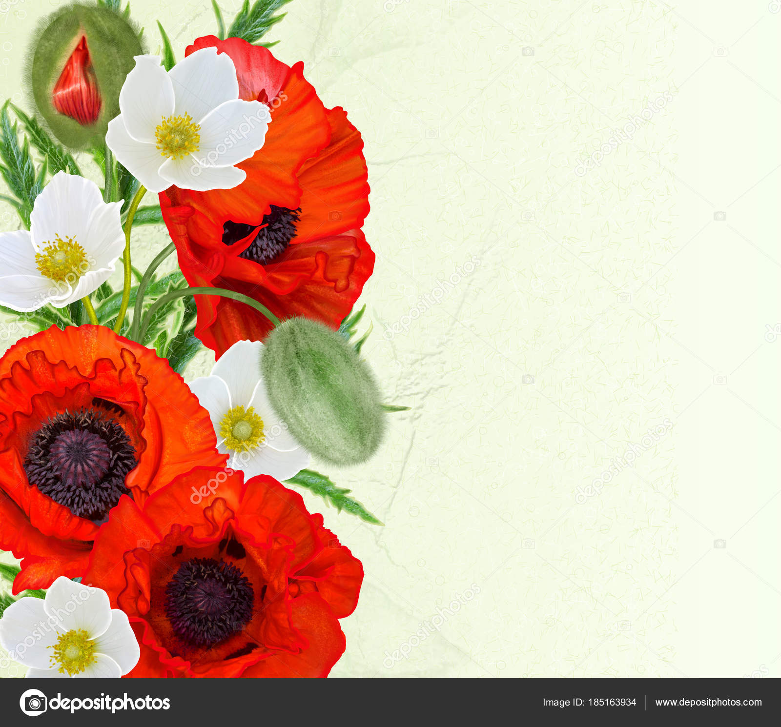 花の背景 白 赤の明るいケシ アネモネの花束 緑の葉します 白い背景に分離 ストック写真 C Sokolova 花の背景 白 赤の明るいケシ アネモネの花束 緑の葉します 白い背景に分離 ストック写真 C Sokolova