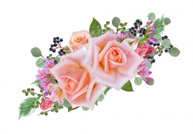 Çiçek arka plan. Buket, kompozisyon çiçekler, ihale pastel pembe Gül, çilek, dalları, yaprakları. Tebrik kartı, davetiye, kartvizit. Beyaz arka plan üzerinde izole.