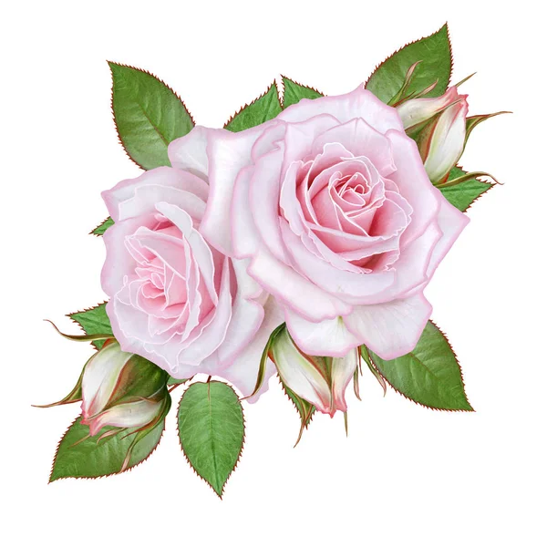 Ramo, composición de flores, rosas rosadas pasteles tiernas, bayas, ramas, hojas. Tarjeta de felicitación, invitación, tarjeta de visita. Aislado sobre fondo blanco . — Foto de Stock