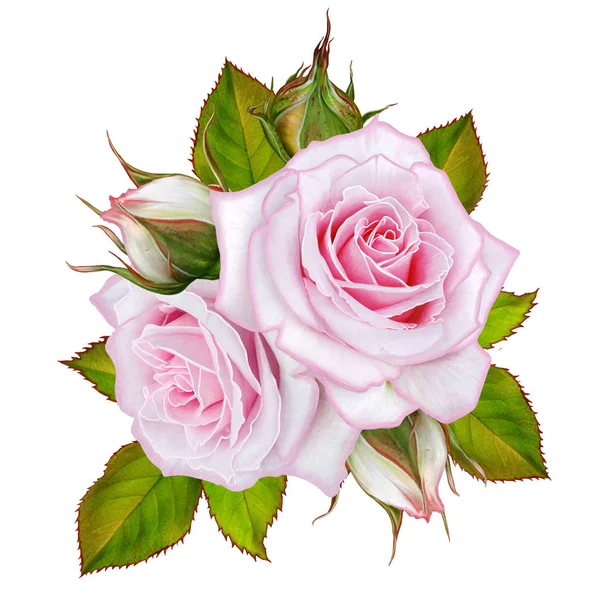 花の背景。組成の枝、果実、優しいパステル ピンクのバラの花の花束を残します。グリーティング カード、招待状、ビジネス カード。白い背景に分離. — ストック写真