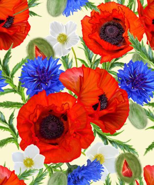Çiçek deseni sorunsuz. Kırmızı parlak poppies, beyaz çiçekler anemon, yeşil yaprakları.