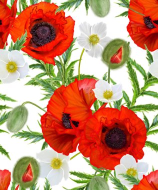Çiçek deseni sorunsuz. Kırmızı parlak poppies, beyaz çiçekler anemon, yeşil yaprakları.