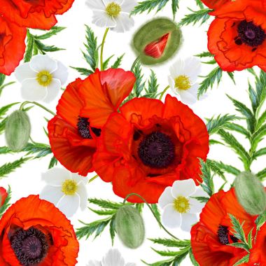 Çiçek deseni sorunsuz. Kırmızı parlak poppies, beyaz çiçekler anemon, yeşil yaprakları.