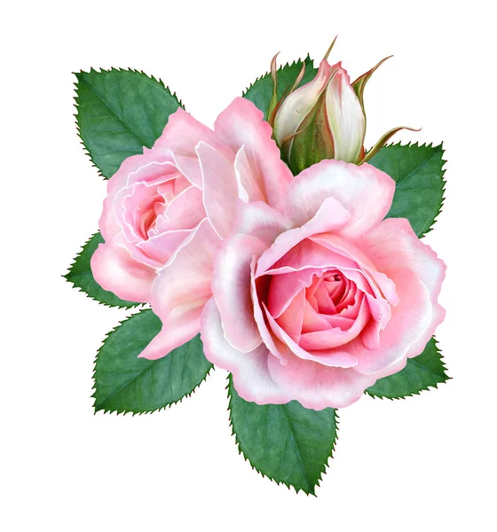 Blommig Bakgrund Bukett Sammansättningen Blommor Anbud Pastell Rosa Rosor Blad — Stockfoto