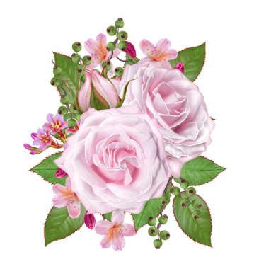 Çiçek arka plan. Buket, kompozisyon çiçekler, ihale pastel pembe Gül, çilek, dalları, yaprakları. Tebrik kartı, davetiye, kartvizit. Beyaz arka plan üzerinde izole.