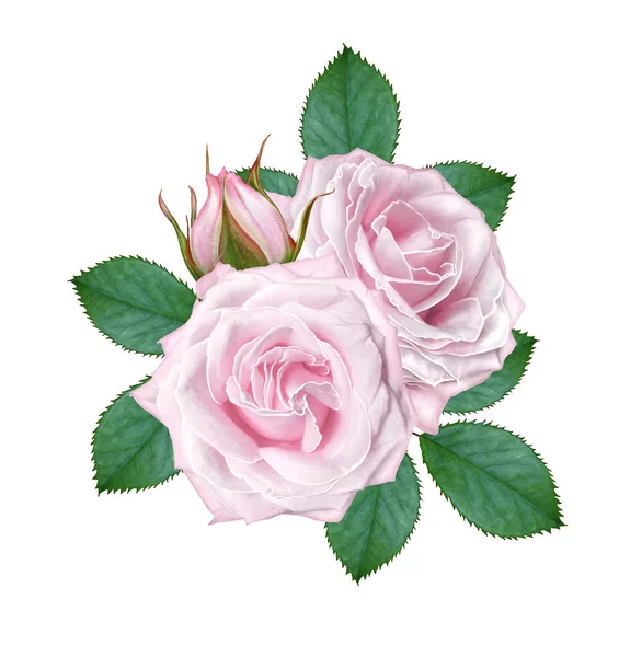 Virágos Háttér Csokor Összetételének Pályázati Pasztell Rózsaszín Rózsa Bogyók Virágok — Stock Fotó