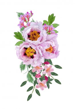 Çiçek arka plan. Buket, kompozisyon çiçekler, ihale pastel pembe peonies, çilek, dalları, yaprakları. Tebrik kartı, davetiye, kartvizit. Beyaz arka plan üzerinde izole.