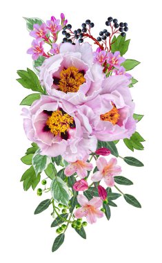 Çiçek arka plan. Buket, kompozisyon çiçekler, ihale pastel pembe peonies, çilek, dalları, yaprakları. Tebrik kartı, davetiye, kartvizit. Beyaz arka plan üzerinde izole.
