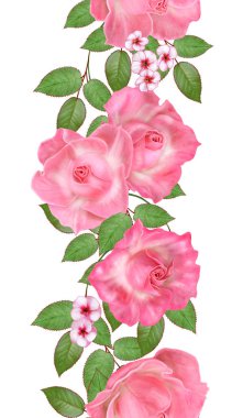 Dikey çiçek sınır. Desen, sorunsuz. Eski stil. Narin pembe güller, tomurcuklar çiçek çelenk. Beyaz arka plan üzerinde izole.