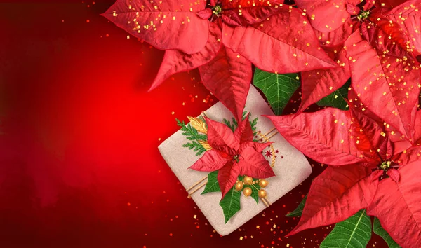 Christmas Burgundy Background Red Poinsettia Flower Shiny Tinsel Confetti Box — Stock Photo, Image