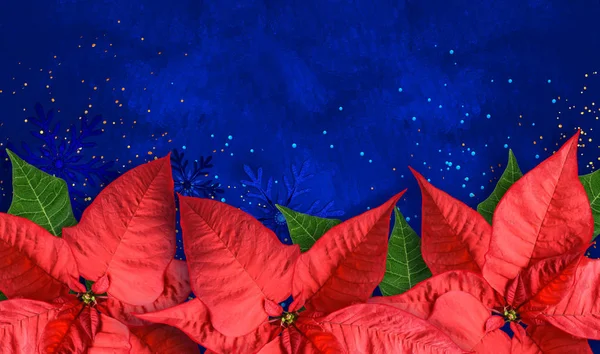Kerst Heldere Blauwe Achtergrond Rode Poinsettia Bloem Glanzend Tinsel Confetti — Stockfoto