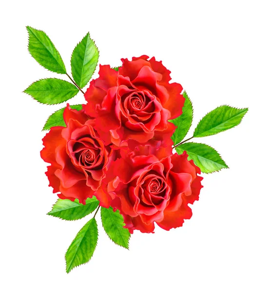 Composição Flor Buquê Rosas Vermelhas Bonitas Folhas Verdes Isoladas Fundo — Fotografia de Stock