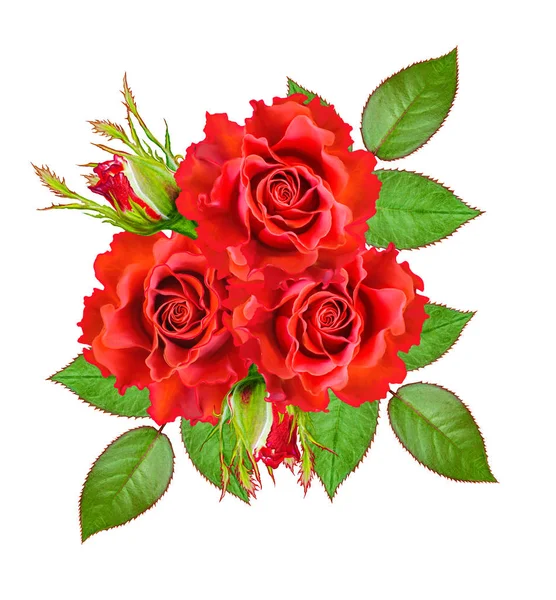 Composición Floral Ramo Hermosas Rosas Rojas Hojas Verdes Aisladas Sobre — Foto de Stock