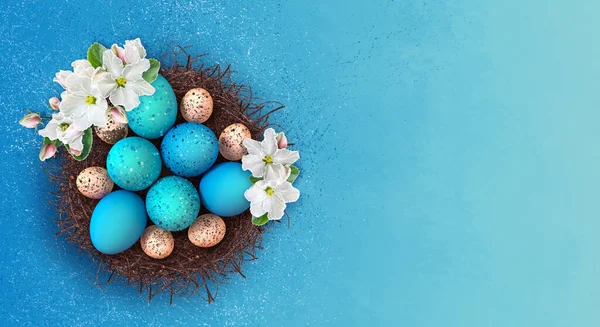 Easter festive elegant background, blue colored eggs in a nest, feathers, quail, branch blossoming apple tree, spring primroses, green leaves, place for text