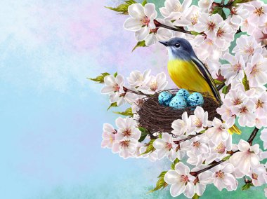 Küçük sarı kuş mavi yumurtaları olan eğri büğrü bir yuvanın yanında oturur. Çiçekli sakura dalları, kirazlar, bahar çiçekleri, Paskalya arkaplanı.