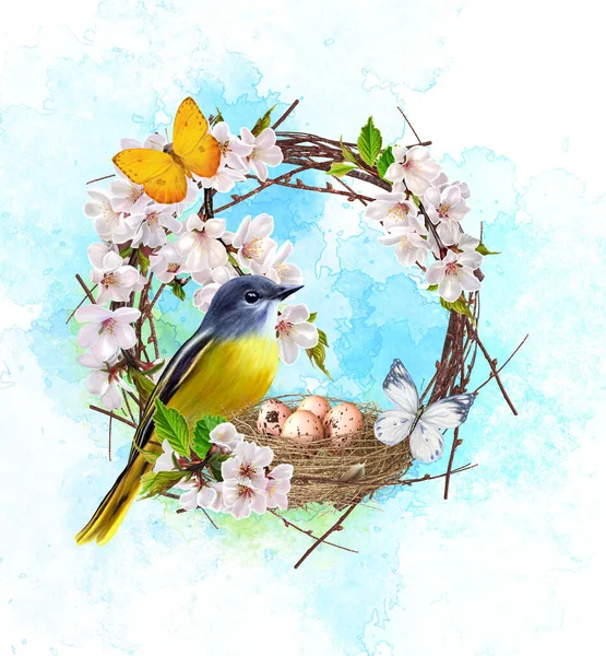 Mama Pássaro Senta Perto Ninho Com Ovos Flores Primavera Flores — Fotografia de Stock