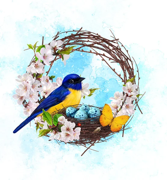 Bird Tit Sits Nest Eggs Spring Flowers Cherry Blossoms Sakura — Zdjęcie stockowe