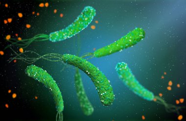 Tehlikeli patojenik bakteriler Helicobacter pillori, mide enfeksiyonunun patojeni, tıbbi soyut arka plan, konsept, 3D görüntüleme