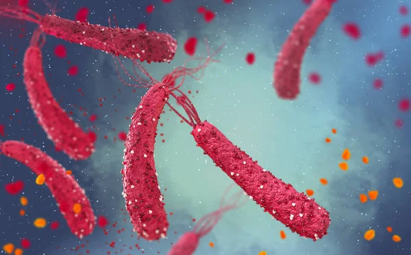 Επικίνδυνα Παθογόνα Βακτήρια Helicobacter Pylori Παθογόνο Της Λοίμωξης Του Στομάχου — Φωτογραφία Αρχείου