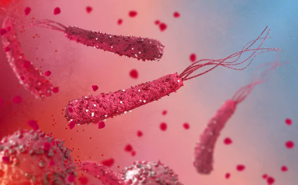 Dangerous pathogenic bacteria Helicobacter pylori , pathogen of stomach infection, medical abstract background, concept, 3D rendering