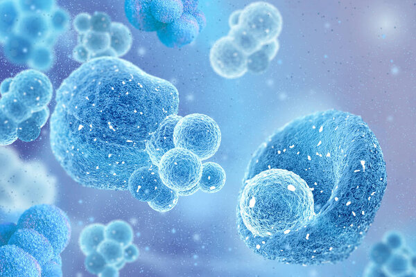 Medical abstract background, microscopic cells in the process of division float in plasma, blue palette, 3D rendering