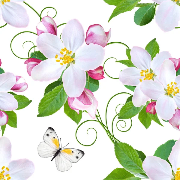 Fondo Primavera Manzano Rosado Floreciente Ramas Follaje Verde Mariposa Blanca — Foto de Stock
