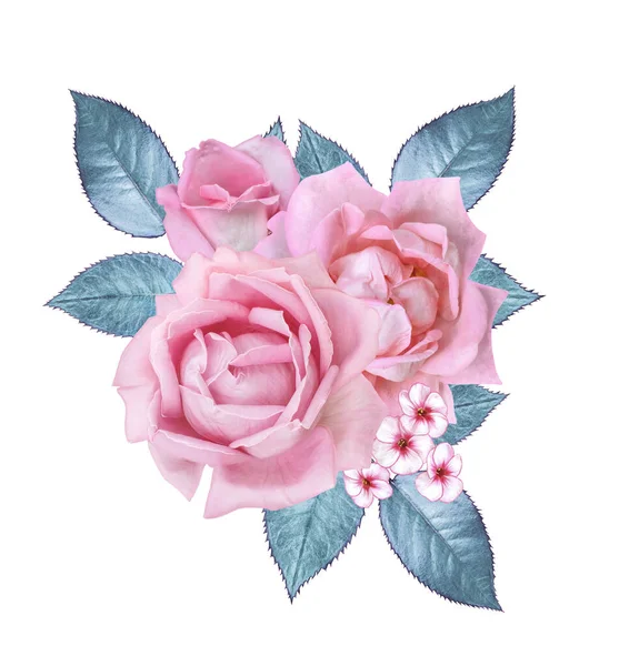 Delikat Vacker Rosa Lila Rosor Blå Pastell Blad Kluster Bär — Stockfoto