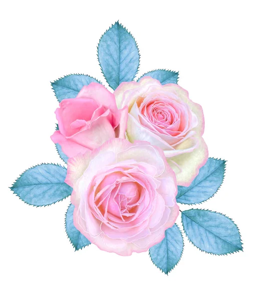 Délicat Beau Rose Roses Lilas Feuillage Pastel Bleu Grappes Baies — Photo