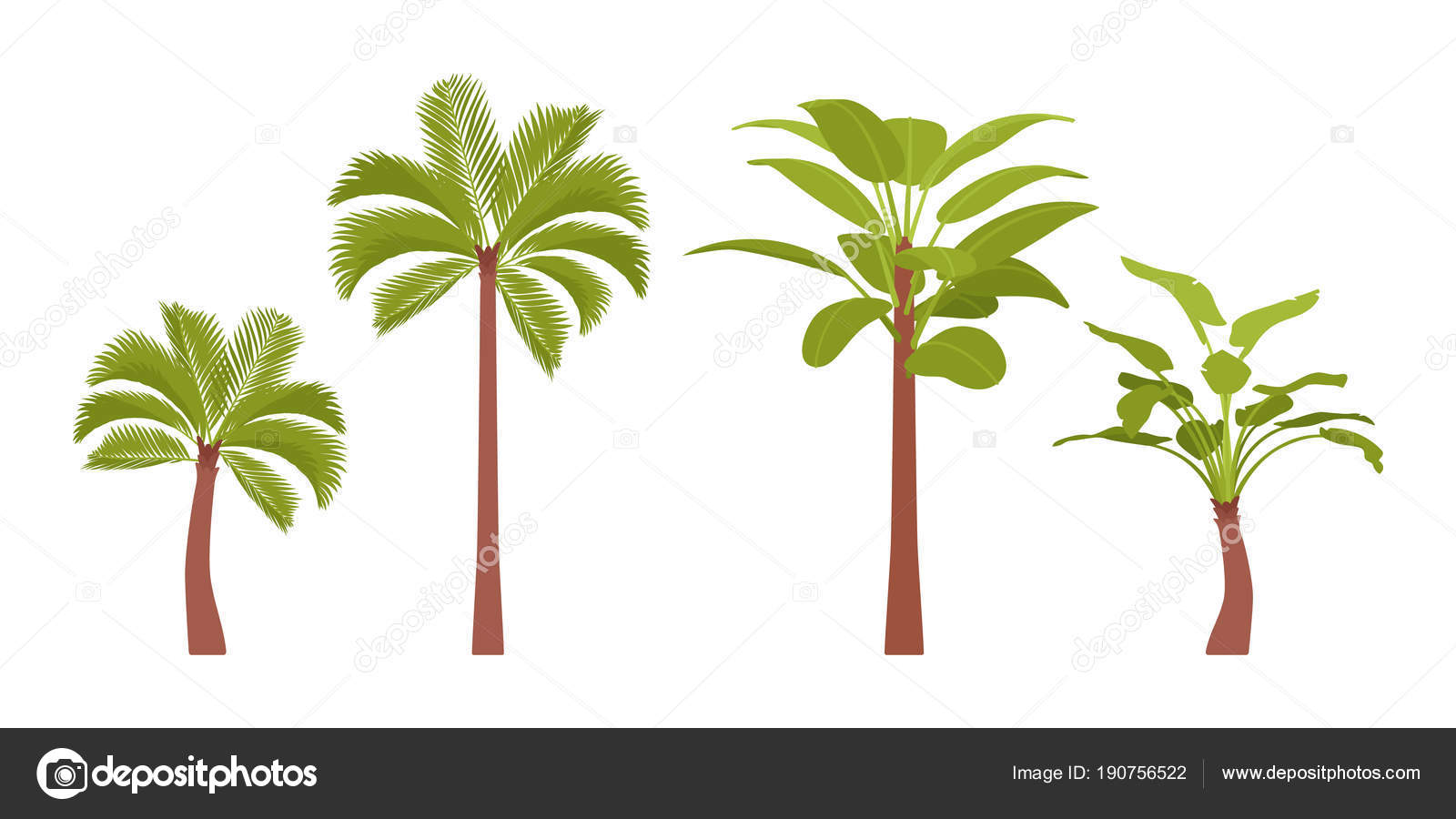 剪影的棕榈树库存矢量图（免版税）336789602 | Shutterstock, image size:1600x900