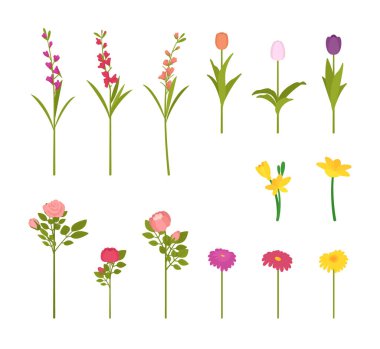 Çiçek blossom küme