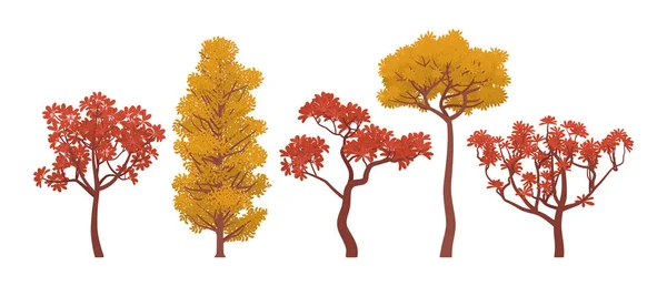 Коллекция осенних деревьев — стоковый вектор