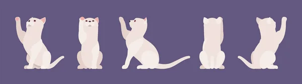 Blanco pedigrí gato jugando — Vector de stock