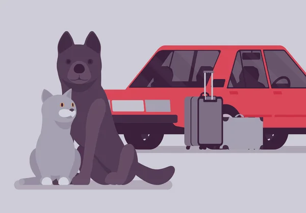 Viagem de carro, viagem de carro com gato e cachorro de estimação — Vetor de Stock